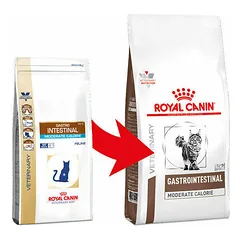 Royal Canin Vet VD Gastro Intestinal Moderate Calorie veterinarinis maistas katėms 0.4kg — 2 nuotrauka