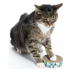 zooplus Basics žaislas katėms Spin & Scratch, Ø 10 x H 4 cm — 3 nuotrauka