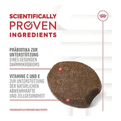 Royal Canin Puppy Immunity & Digestion Supplement kramtomi skanėstai šunims — 5 nuotrauka