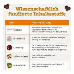 Zesty Paws Urinary Care Chews su spanguolėmis, papildas — 2 nuotrauka