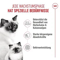 Royal Canin Mother & Babycat sausas maistas katėms, 3 - 4,9 kg — 3 nuotrauka