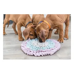 TRIXIE Junior uostymo kilimėlis, 38 cm, 1 vnt. — 3 nuotrauka
