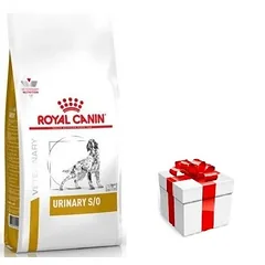 Royal Canin Urinary S/O 13kg + STAIGMENA ŠUNIUI