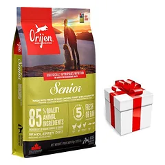 ORIJEN Dog Senior 6 kg + STAIGMENA ŠUNIUI