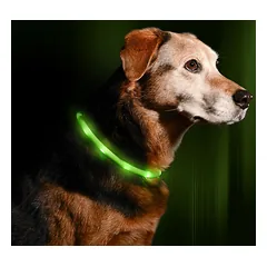 TRIXIE LED ĮKRAUNAMAS ŠVIEČIANTIS antkaklis USB, silikonas, XS-XL 70cm/10mm, žalias
