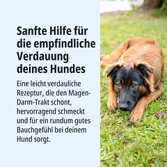 Virbac Veterinary HPM Adult Dog Sensitive Digest Large & Medium — 4 nuotrauka