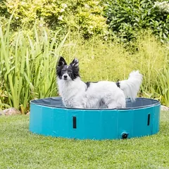 Trixie Hundepool