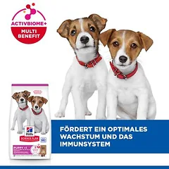 Hill's Science Plan Puppy Small & Mini su ėriena ir ryžiais, sausas maistas šuniukams, 3 - 4,9 kg — 4 nuotrauka