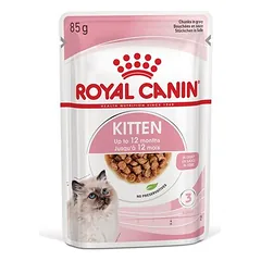 Royal Canin Kitten in Soße