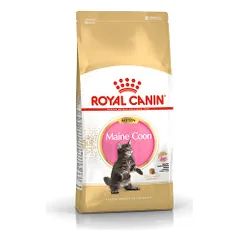 Royal Canin Maine Coon Kitten sausas pašaras kačiukams