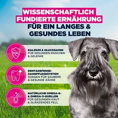 Eukanuba Premium Nutrition Mature Small Breed su vištiena, sausas maistas šunims, 3 - 4,9 kg — 5 nuotrauka