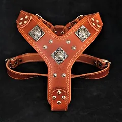 Bestia Hundegeschirr Eros