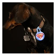 WARNER BROS DC Superman antkaklio lemputė, 1 vnt. — 5 nuotrauka