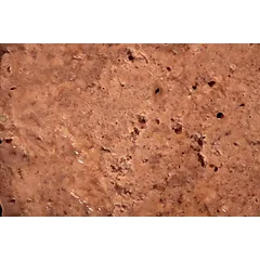SPECIFIC FSW konservai katėms, struvitų tirpdymui 7 x 100 g — 2 nuotrauka