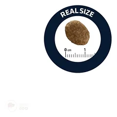 Advance Veterinary Diets Hypoallergenic Cat sausas maistas katėms 1.25kg — 4 nuotrauka
