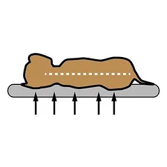Pawz & Pepper pagalvė šunims Denver Ortho, Vidutiniams 11–25 kg — 5 nuotrauka