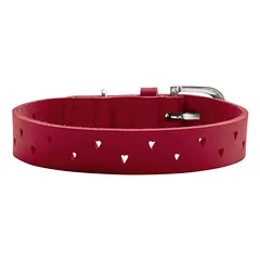 HUNTER Hundehalsband Aalborg soul