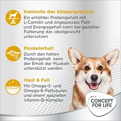 Concept for Life Medium Sterilised, < 1,4 kg — 4 nuotrauka