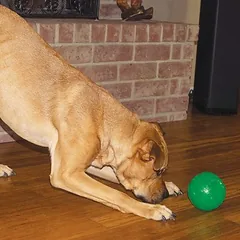 Starmark Treat Dispensing Chew Ball, žaislas šunims, Dideliems 26–45 kg — 2 nuotrauka
