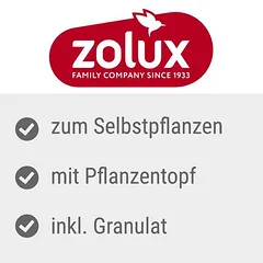 Zolux kačių žolė, L 17 x B 12 x H 4,5 cm — 3 nuotrauka