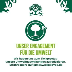James Wellbeloved Senior Dog Hypoallergenic su ėriena ir vištiena paštete, drėgnas maistas šunims — 5 nuotrauka