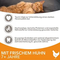 IAMS Advanced Nutrition Senior Cat 7+ su vištiena, sausas maistas katėms, > 10 kg — 4 nuotrauka