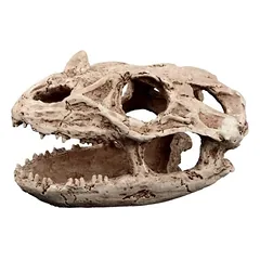 Terra Natura Terrarium dekoravimo slėptuvė reptilozauro kaukolė 19cm