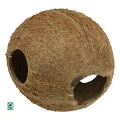 JBL Cocos Cava, L (3/4) — 4 nuotrauka