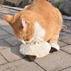 Aumüller žaislinė pagalvėlė katėms Baldi Willy, 1 vnt. — 3 nuotrauka