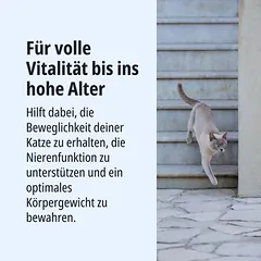 Virbac Veterinary HPM Cat Early Kidney & Joint Support KJ1, sausas maistas katėms — 2 nuotrauka