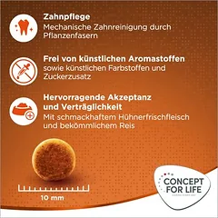 Concept for Life Outdoor Cats sausas maistas katėms – patobulinta receptūra, 3 - 4,9 kg — 5 nuotrauka