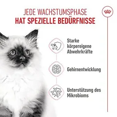 Royal Canin Kitten, > 10 kg — 3 nuotrauka