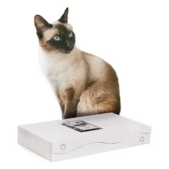 Canadian Cat Company Kratzblock aus zwei Kratzwellen 2 in 1 Kratzpappe