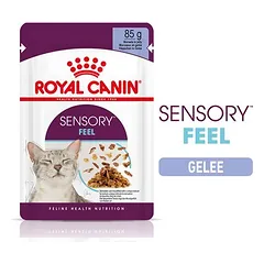 Royal Canin FHN Sensory Feel Jelly FB