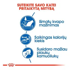 ROYAL CANIN Indoor sausas pašaras katėms, 10 kg — 4 nuotrauka