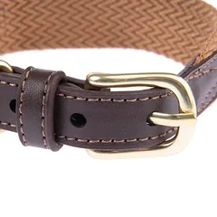 Nomad Tales Bloom antkaklis šunims, caramel, Dydis XL: 52–58 cm kaklo apimtis, 38 mm pločio — 3 nuotrauka