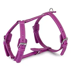 Das Lederband Geschirr Barcelona Rose-Violet