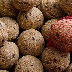 KLASEBO Premium Meisenknödel mit Insekten und Netz