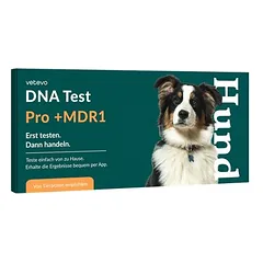 vetevo DNR testas šunims