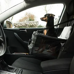 zooplus Exclusive automobilinė sėdynė šunims Booster, Mažiems 5–10 kg — 4 nuotrauka