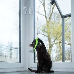 zooplus Basics interaktyvus žaislas katėms 4-in-1, Teaser 95 cm, 4 žaislai 15 cm — 4 nuotrauka