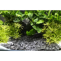 Dennerle Kongo 3-8mm, 5kg — 3 nuotrauka