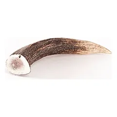 Bellfor Hundesnack - Hirsch-Geweihe XXL