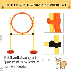 Agility rinkinys geltonas — 4 nuotrauka