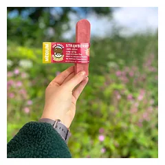 Jako sūris šunims su braškėmis, Yak Snack Strawberry, M dydis — 2 nuotrauka