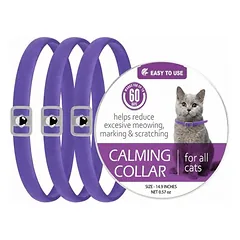 Pheromon-Beruhigungshalsband Katze - 3 Stk, 38 cm, lila