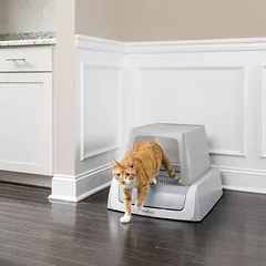 PetSafe® ScoopFree® kačių tualetas, 1,5 kačių tualetas su dangčiu — 3 nuotrauka