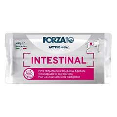 Forza10 Intestinal Active dietiniai sausieji maisto produktai suaugusiems šunims, turintiems virškinimo trakto sutrikimų, monoproteininiai su žuvimi, 4 kg — 3 nuotrauka