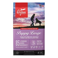 Orijen Puppy Large sausas maistas šuniukams 11.4 kg