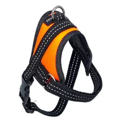 Fleksas oranžinės petnešos šunims, XS, 35 cm nuotrauka